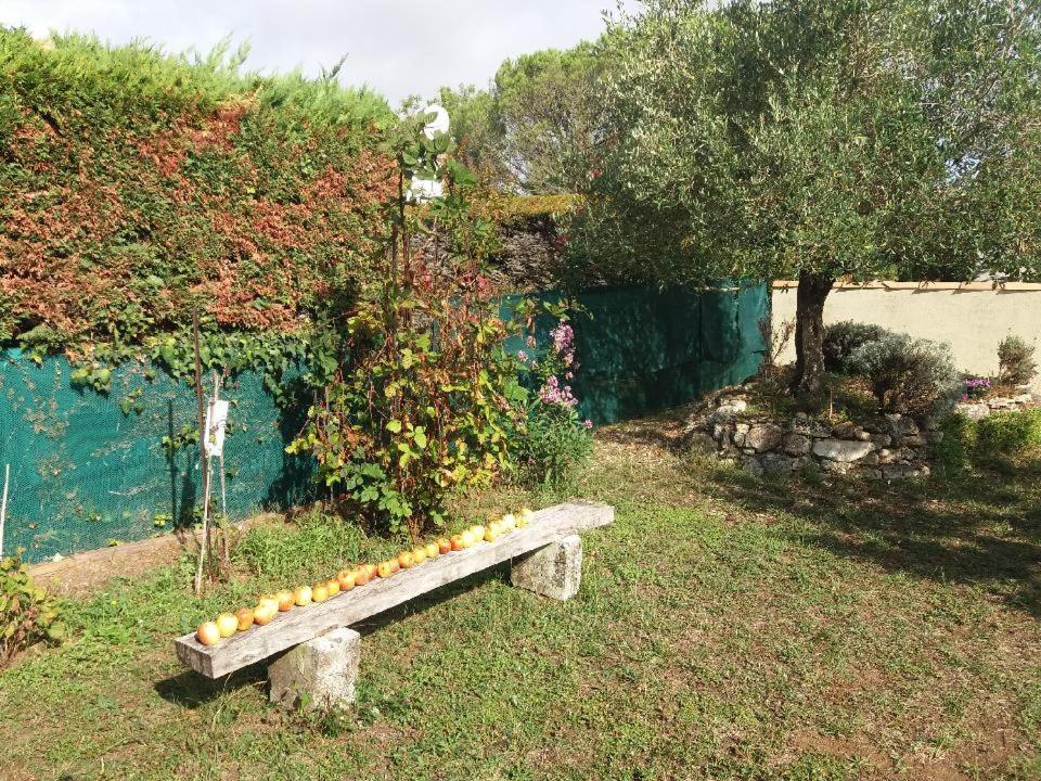 Le clos de la Plage - Résidence touristique 2 étoiles - 500m de la plage Dolus-d'Oléron Extérieur photo